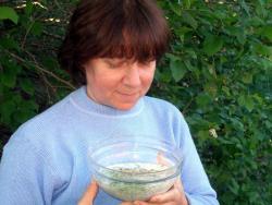 Холодный суп из кефира и огурцов с зеленью для похудения - шаг 9 Холодный суп из кефира и огурцов с зеленью для похудения - шаг 9