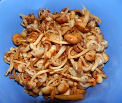 название картинки Грибная икра из опят на зиму