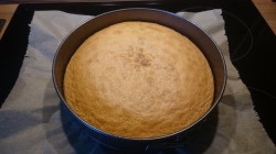 Бисквитно йогуртовый торт с фруктами