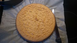 Бисквитно йогуртовый торт с фруктами