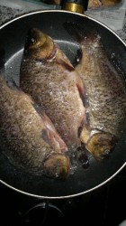 Жареный карась в сметане на сковороде