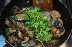 Жареные грибы шампиньоны с чесноком