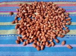 Жареный арахис на сковороде в шелухе - шаг 3