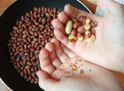 Жареный арахис на сковороде в шелухе - шаг 6