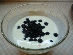 название картинки Желе из творога с ежевикой