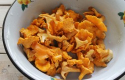 название картинки Как заморозить лисички на зиму