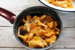 название картинки Как заморозить лисички на зиму