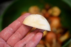 Как заморозить маслята на зиму