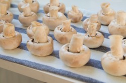 название картинки Как заморозить свежие шампиньоны