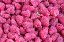 название картинки Как заморозить ягоды на зиму