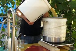 название картинки Кальвадос в домашних условиях из яблок