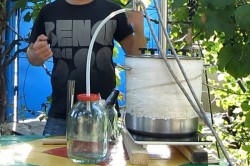 название картинки Кальвадос в домашних условиях из яблок