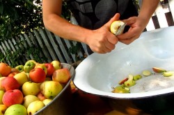 название картинки Кальвадос в домашних условиях из яблок