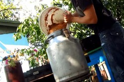 название картинки Кальвадос в домашних условиях из яблок