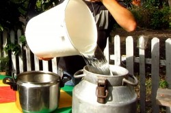 название картинки Кальвадос в домашних условиях из яблок