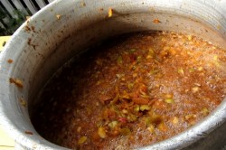 название картинки Кальвадос в домашних условиях из яблок