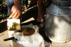 название картинки Кальвадос в домашних условиях из яблок