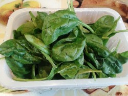 название картинки Каннеллони под соусом бешамель с рикоттой и шпинатом