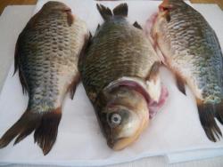 Карась в тархуновом соусе