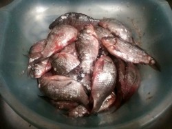 Карасики мелкие жареные - шаг 1