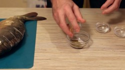 Запеченный карп с овощами и грибами в духовке