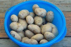 название картинки Картофель сваренный в мундире и обжаренный на мангале