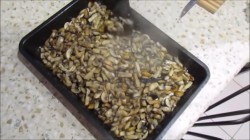 название картинки Картофельная запеканка с сосисками и грибами