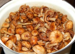 Картошка с опятами жареная