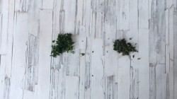 Кексы из куриного фарша с сыром