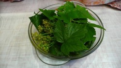 название картинки Кисло-сладкие огурцы на зиму в банках без уксуса