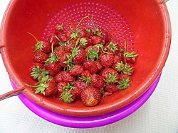 Клубника перетертая с сахаром