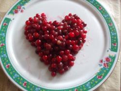 Клюква с медом - шаг 5