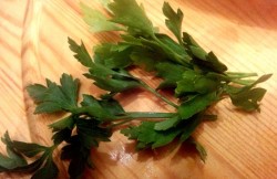 Салат морской коктейль с креветками