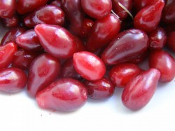 Компот из кизила на зиму