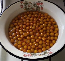 название картинки Компот из облепихи замороженной