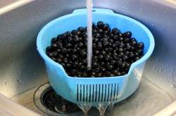 название картинки Компот из черноплодной рябины на зиму