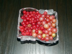 название картинки Компот из смородины и крыжовника на зиму