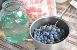 название картинки Виноградный компот из изабеллы