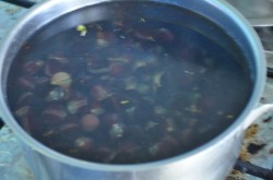 название картинки Виноградный компот из изабеллы