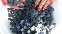 название картинки Конфитюр из синего винограда