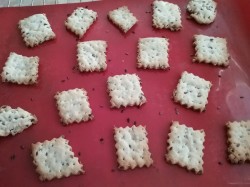 название картинки Крекеры на муке с водой и семенами льна