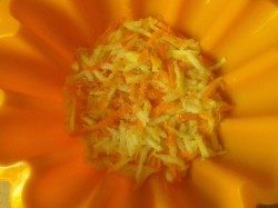 название картинки Запеканка с кукурузной крупой яблоками и морковью