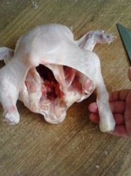 название картинки Фаршированная курица в духовке