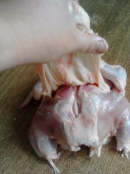 название картинки Фаршированная курица в духовке