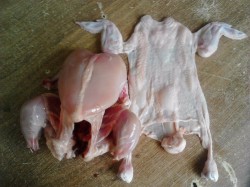 название картинки Фаршированная курица в духовке