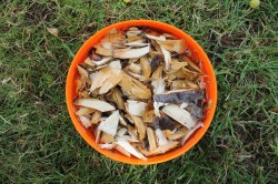 Курица горячего копчения в коптильне в домашних условиях