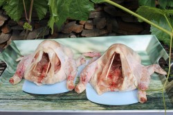 Курица горячего копчения в коптильне в домашних условиях