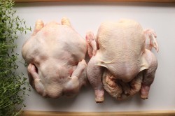 Курица горячего копчения в коптильне в домашних условиях