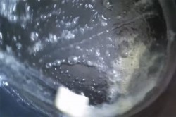 название картинки Курица с шампиньонами в сметане на сковороде