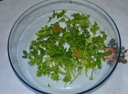 Курица в красном вине